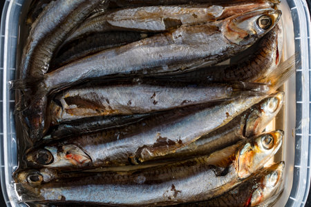 Salted anchovy in oil in a plastic container, close up, top view. food background