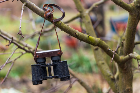 Old vintage binoculars hanging on a tree branch in spring day, close up, travel conceptの写真素材