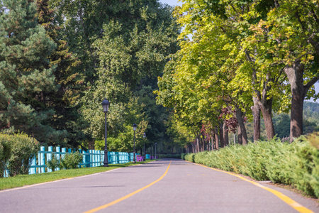 Empty road, street lamps, wooden fence and green trees. Kyiv, Ukraine
