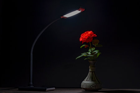 Table electric lamp shines on one red rose in ceramic vase on black background. Close up