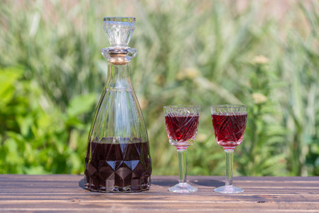 Homemade cherry brandy in glasses and in a glass bottle on a wooden table in a summer garden, close upの写真素材