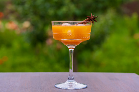 Healthy pumpkin fruit smoothie with ice decorated with star anise and cinnamon stick in cocktail glass on wooden table against nature background, close upの写真素材
