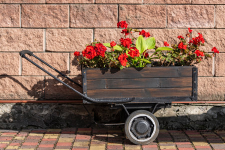 Wooden cart with pots and flowers as decoration in summer yard, close up