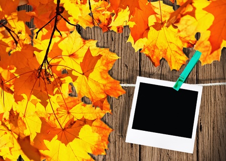  Autumn leaves and the frame of an old photoの写真素材