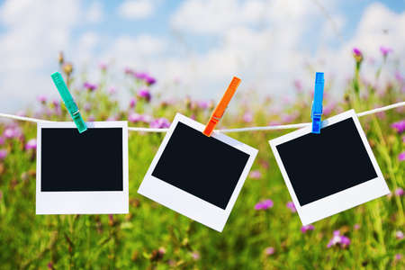 instant photo hanging on the meadow