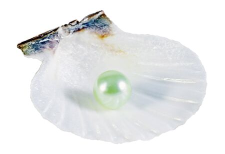 pearl on the shell isolated on white backgroundの写真素材
