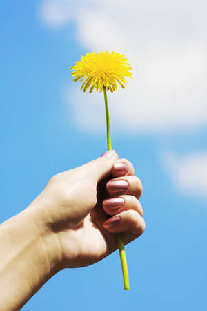 dandelion in his hand against the blue sky