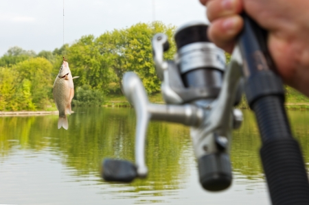fish caught on a hook on the background of the lakeの写真素材