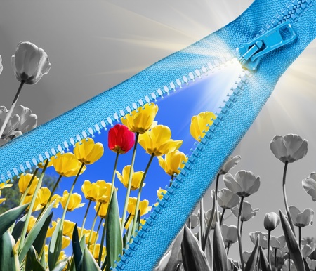 Zipper open landscape with tulips and sun の写真素材