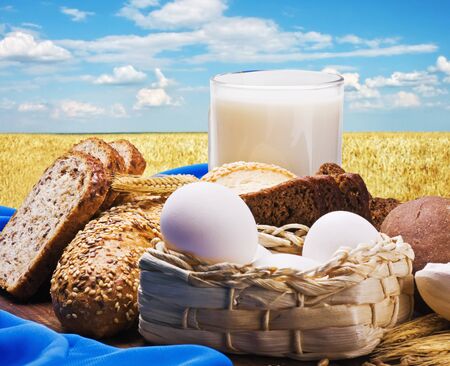 egg, flour, grain and milk, all baking homemade bread on the background of wheat field の写真素材