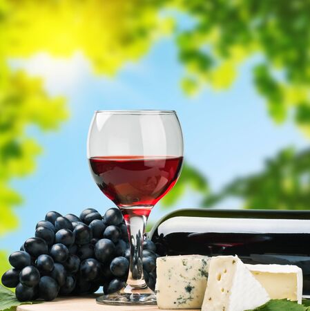 glass of red wine with grapes on a background of natureの写真素材