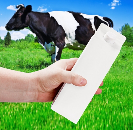 empty milk carton with space for text and advertising in a landscape with grazing cows
の写真素材