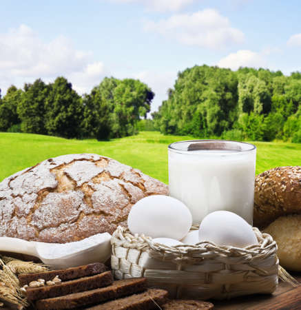  fresh baked bread and ingredients to prepare against field の写真素材