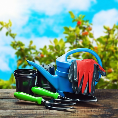 garden tools lying on a wooden table on a landscape
 の写真素材