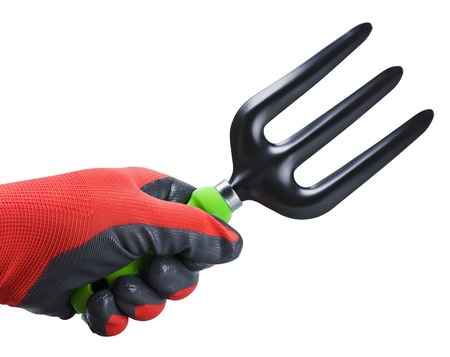 garden rakes in hand isolated on whiteの写真素材