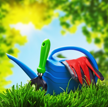 garden tools on a lawn at the houseの写真素材