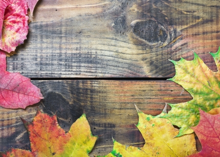Autumn leaves over old wooden backgroundの写真素材