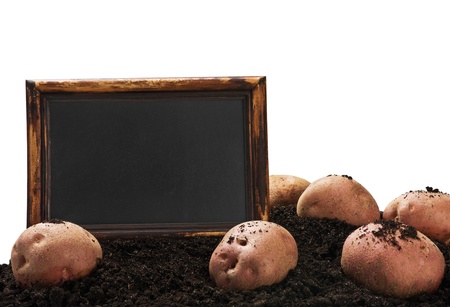 blackboard and the harvest of potatoes isolated on a white backgroundの写真素材