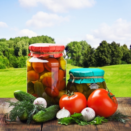 canned vegetables and fresh against the backdrop of natureの写真素材