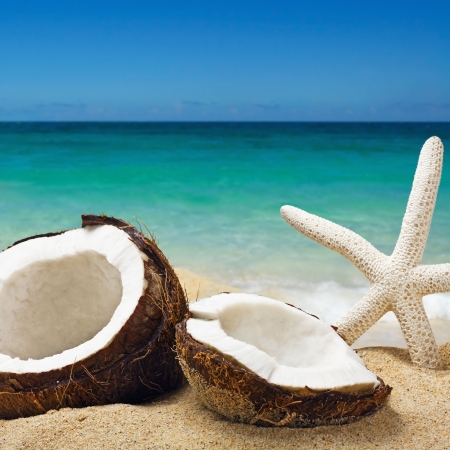 chopped coconut on sea-beach backgroundの写真素材