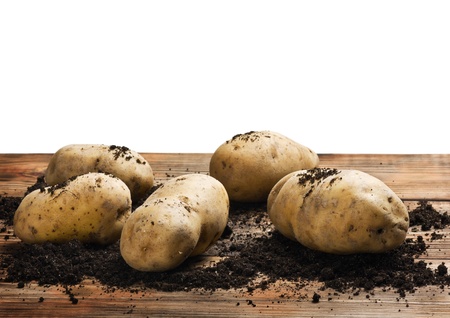 raw potatoes on the ground on a white backgroundの写真素材