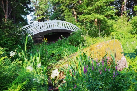 Old Chinese bridge in the park of Mon Repos, Vyborg, Russia. The bridges were designed by DA Martinelli in 1798の写真素材