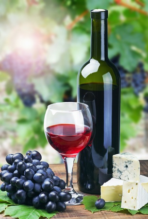 glass of red wine with grapes on a background of natureの写真素材