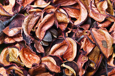 dry flowers in shades of orange backgroundの写真素材