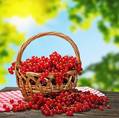 red currant in a basket on a wooden tableの写真素材