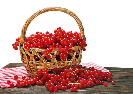 red currant in the basket on red-white tableclothの写真素材