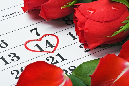 red roses lay on the calendar with the date of February 14 Valentine's dayの写真素材