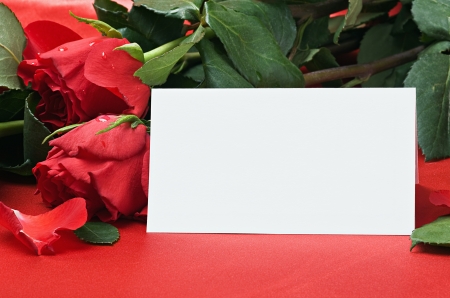 red roses and white card with a place for a congratulatory textの写真素材
