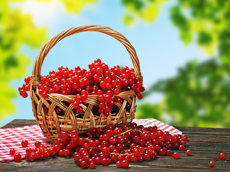 red currant in a basket on a wooden tableの写真素材