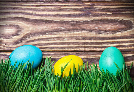 Easter Eggs on Fresh Green Grass