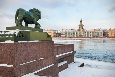 Cabinet of Curiosities in St. Petersburg at dawn in winter. Russia. Focus on the cabinet of curiositiesのeditorial素材