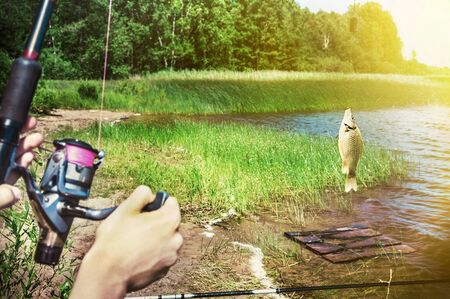 fish caught on a hook on the background of the lake. Focus on the trough and fishの写真素材