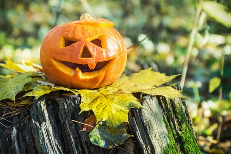 Jack Lantern for Halloween on a stump in a forest in autumnの写真素材