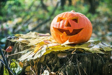 Jack Lantern for Halloween on a stump in a forest in autumnの写真素材