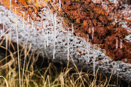 icicles hang on the surface of the rusty wall. The focus on the iciclesの写真素材