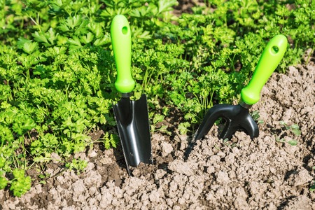 garden tools stuck into the ground to work in the garden bedsの写真素材
