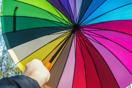 colored opened umbrella in the hand. Autumn forest walkの写真素材
