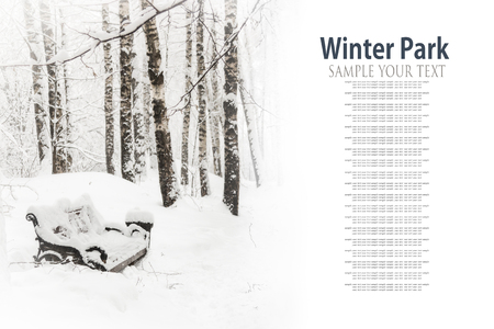 bench and trees in the snow in the snow in the winter Park. text deleteの写真素材