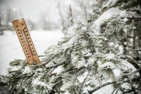 thermometer with sub-zero temperatures on the branch of a tree in winter forestの写真素材