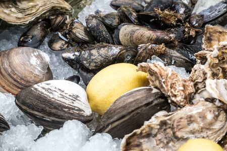 oysters, mussels and other shellfish with lemon on iceの写真素材