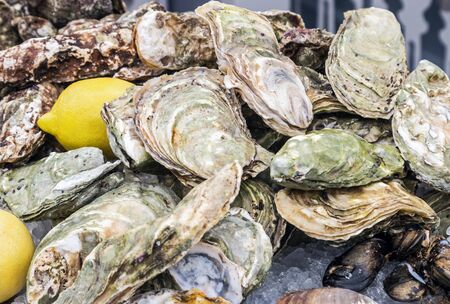oysters, mussels and other shellfish with lemon on iceの写真素材