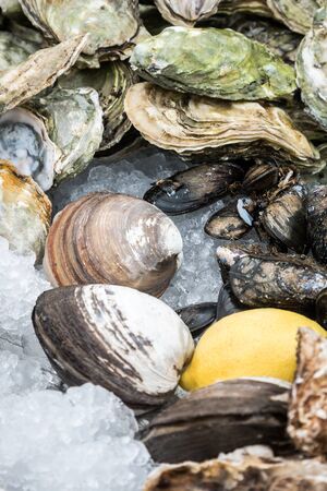 oysters, mussels and other shellfish with lemon on iceの写真素材