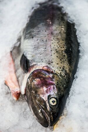 fish sea salmon lie on the ice in the store or in the kitchen of a restaurantの写真素材