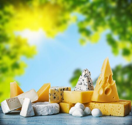 assorted cheeses, soft, hard, rennet and brine against natureの写真素材