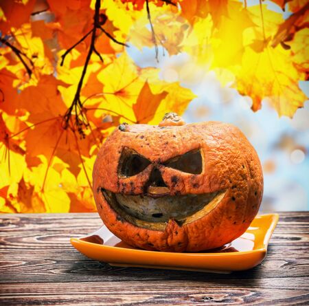 pumpkin lantern Jack-rotten to the holiday of Halloween. Very scary pumpkinの写真素材