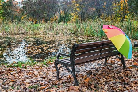 bench in the autumn Park and a colorful umbrella on the background of the autumn forestの写真素材
